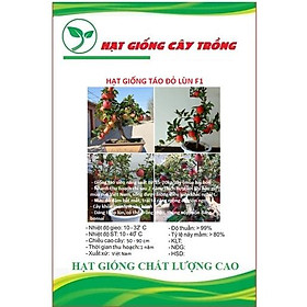 Hạt giống cây táo lùn đỏ ( táo bonsai ) CT380 - Gói 10 hạt