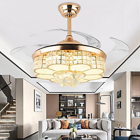 Mua Đèn quạt MONSKY EDITH cánh cụp xòe hiện đại  động cơ chạy siêu êm  siêu mát