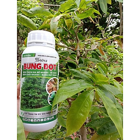 PHÂN BÓN DÀNH CHO MAI, CÂY KIỂNG CHAI 500ML - BUNG ĐỌT, BẬT CHỒI, RA RỄ