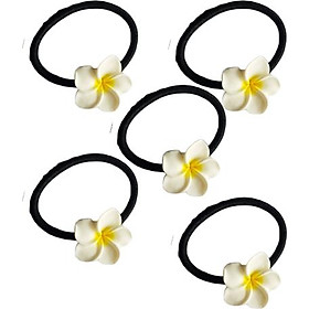 Sét 5 dây buộc tóc loại to đính hoa sứ KAH134
