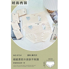 Combo 5 Quần lót cạp cao cho người béo 55-70kg