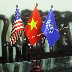 Cờ Để Bàn Việt Nam - Mỹ - Tổ Chức Y Tế Thế Giới