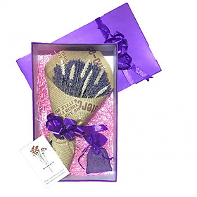 Set quà hoa lavender khô Pháp - Mẫu 29