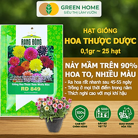 Mua Hạt Giống Hoa Thược Dược Mix Greenhome  Gói 0.1gr~25 hạt  Sai Hoa  Màu Rực Rỡ  Dễ Trồng Quanh Năm H05
