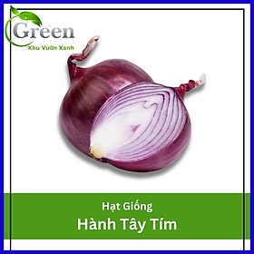 Mua Hạt Giống Hành Tây Tím Chịu Nhiệt