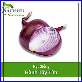 Hạt Giống Hành Tây Tím Chịu Nhiệt