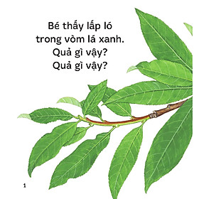 Sách Ehon - Ú Òa! - Quả Gì Đây? - Đinh Tị