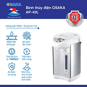 Mua Bình thủy điện cao cấp AP-42L dung tích 4.2 lít - Lòng inox bền đẹp - Hàng chính hãng