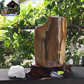 Mua Trụ Gỗ Hóa Thạch Phong Thủy Trấn Trạch Trừ Tà GHT47 nặng 2.8kg kích thước 21x12cm (vàng đất) – Vật phẩm phong thủy may mắn
