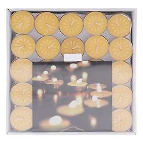 Mua Hộp 100 Nến Tealight Bông Mai Nycandle FtraMart Candle (Vàng)