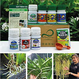Mua COMBO8 100 - Phân Bón Chăm Hoa Lan  Cây Cảnh Ở Mọi Giai Đoạn (100g/ml/chai)