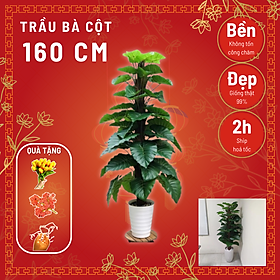 Mua Cây trầu bà leo cột giả giống thật 99% – Cao 160 cm – Ngang 50 đến 60 cm – Cây giả  hoa lụa decor trang trí rẻ  bền  đẹp