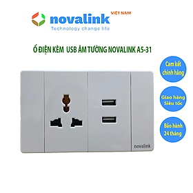 Ổ USB âm tường kèm ổ điện Novalink A5-31, mặt nắp chất liệu nhựa chống cháy, lõi đồng cao cấp, công suất ổ USb 5V-2.1A, công suất ổ điện 16A - Hàng chính hãng, Full thuế VAT, COCQ
