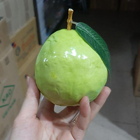 Trái cây nhựa giả(cam.soài.ổi .Táo. na.khế.Roi.hồng