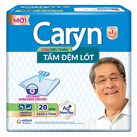 Hình ảnh Tấm Đệm Lót Siêu Thấm Caryn (20 Miếng)