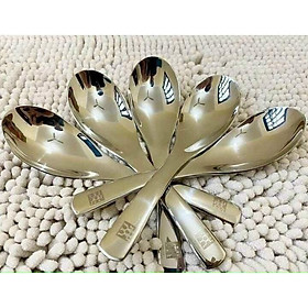 Mua Bộ 5 Thìa Inox 304 Zwilling Đức  Muỗng Inox Cao Cấp Ăn Phở Cơm Cháo Tiện Lợi