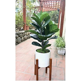 Mua đôn gỗ kê chậu cây cảnh trang trí trong nhà