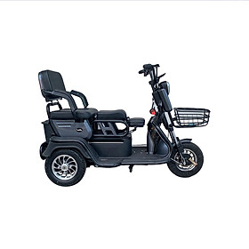 Xe Điện 3 Bánh Người Lớn Giá Tốt, Giảm Giá Đến 40% - Tháng 9, 2023 | Mua  Ngay | Tiki