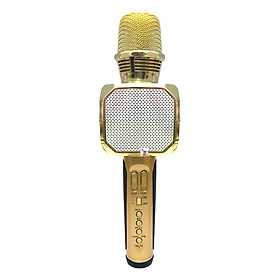 Mua Micro Karaoke Kèm Loa Bluetooth SD10 Sotate -  Hàng Nhập Khẩu