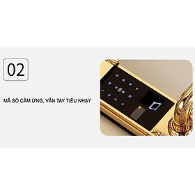 Mua Khóa vân tay tân cổ điển Luxury MR4