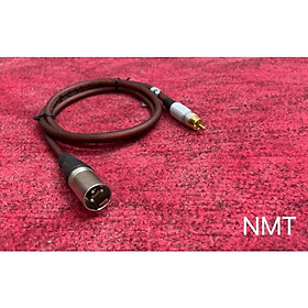 Mua Dây canon đực / cái ra AV 1m