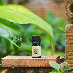 Tinh dầu Sả Java 100% Thiên nhiên - Nhà của Thời Thanh Xuân