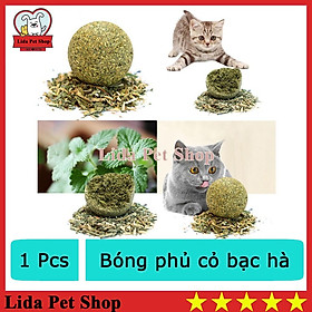 Quả bóng đồ chơi cho mèo phủ cỏ bạc hà - Lida Pet Shop