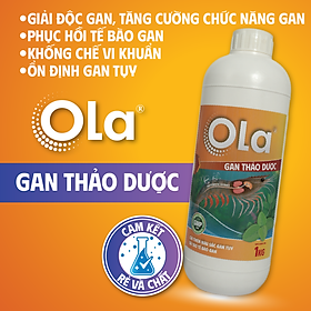 OLA - GAN THẢO DƯỢC: Tăng cường chức năng gan, phục hồi tế bào gan, ổn định gan tụy