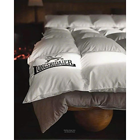 Mua CHĂN LÔNG NGỖNG NHẬP KHẨU HUNGARY - LONGSHIDAIER 2x2m3 Hàng chính hãng