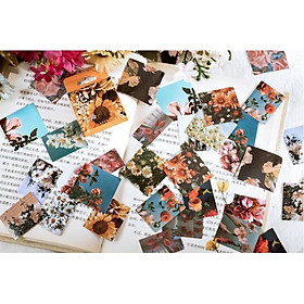 Bộ 46 Sticker Hoa Thiên Nhiên E103