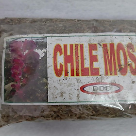 Dớn chile giữ ẩm cho lan - gói 100 gram