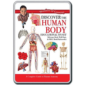 Tin Set - Discover The Human Body