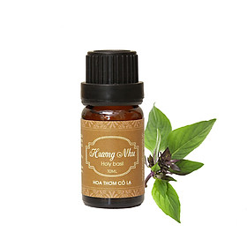 Tinh Dầu Hương Nhu - Ocimum Gratissimum - Hoa Thơm Cỏ Lạ