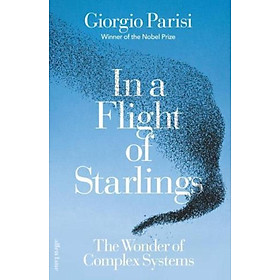 Sách - In a Flight of Starlings The Wonder of Complex Systems by Giorgio Parisi (UK edition, Hardback)