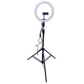 Mua Đèn Led Vòng Hỗ Trợ livestream Bán hàng Chụp Hình Makeup  Cao Cấp Chuyên Nghiệp