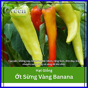 Hạt giống ớt sừng vàng Banana cao sản - gói 15 hạt