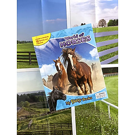 My Busy Books: World Of Horses