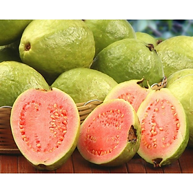 Ổi Đài Loan Ruột Đỏ (3-4 trái/kg)