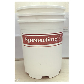 3 Chậu Nhựa Trắng Size 3 (3Gal) Sprouting -Gieo Mầm Cuộc Sống