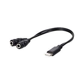 Bộ chuyển đổi Type C sang đầu kép 3.5mm