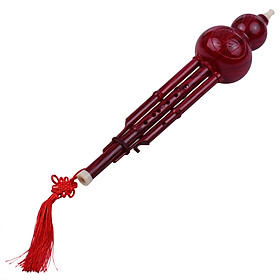 2 Tone C-Key Hulusi Gourd Cucurbit Flute Resin Pipes Chinese Traditional Instrument with Chinese Knot Carry Case for
