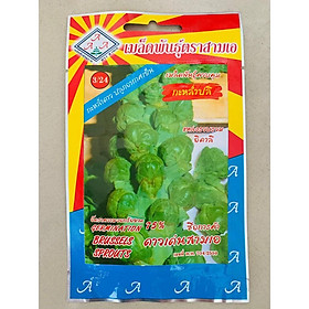 Hạt giống bắp cải mini xanh chịu nhiệt nhập khẩu Thái Lan (khoảng 15-20 hạt)