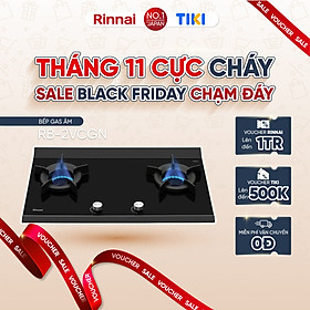 Mua Bếp gas âm đầu đốt trong Rinnai RB-2VCGN mặt bếp kính Schott và kiềng bếp gang - Hàng chính hãng.