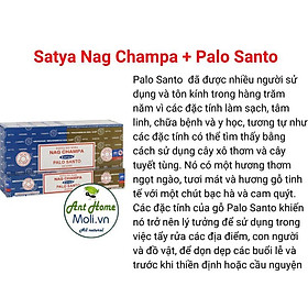 Thanh hương nhang SATYA thanh tẩy và bảo vệ Champa + Palo santo