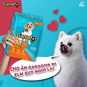 6KG Thức ăn cho chó trưởng thành Ganador vị gà nướng Adult Roasted Chicken Flavor