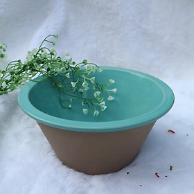 Mua Tô/Chậu Sứ Cao Cấp Đa Năng - Kiểu Dáng Cổ Điển Phối Đất Nung Độc Đáo - 20cm