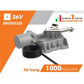 Mua Cổng tự động âm sàn Roger Italia Br21/362