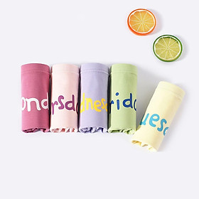 Quần chip bé gái thun cotton 100%[hàng giồng hình 100%