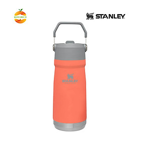 Bình giữ nhiệt Stanley Flip Straw Water Bottle 500ml (17oz)