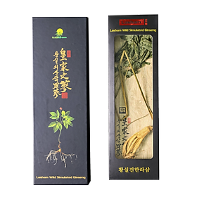 Hộp 1 Cây Sâm Núi Khô Nguyên Bản Lasham Hàn Quốc - 7 Năm Tuổi (lasham Dried Wild Simulated Ginseng -로얄 산삼 라삼)